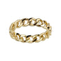 Gold chain ring on a white background